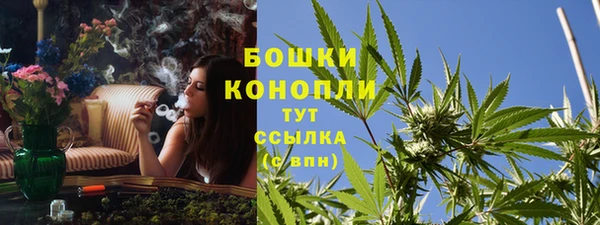 а пвп мука Богданович