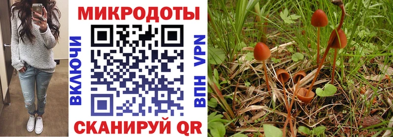 Галлюциногенные грибы ЛСД  darknet Telegram  Кизел 